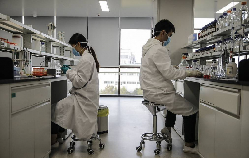 В гидротермальных источниках нашли археи, которые разлагают органику без выделения метана