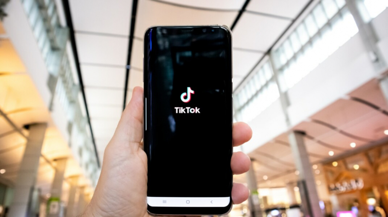 В Госдуме заявили о согласии TikTok сотрудничать с российскими властями и удалять противоправный контент