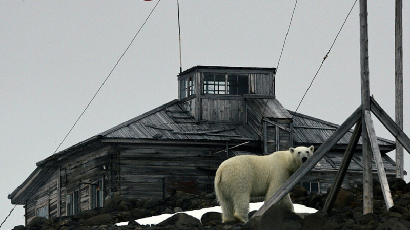 Власти расширили программу &laquo;дальневосточный гектар&raquo; и будут давать россиянам земли на освоение в Арктике
