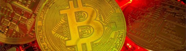 Полицейские в Англии думали, что электричество крадет ферма марихуаны. Оказалось, что фабрика биткоинов