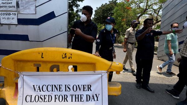 Коронавирус: ученые считают, что смертность в мире занижена вдвое; Covid-19 вынюхивают пчелы