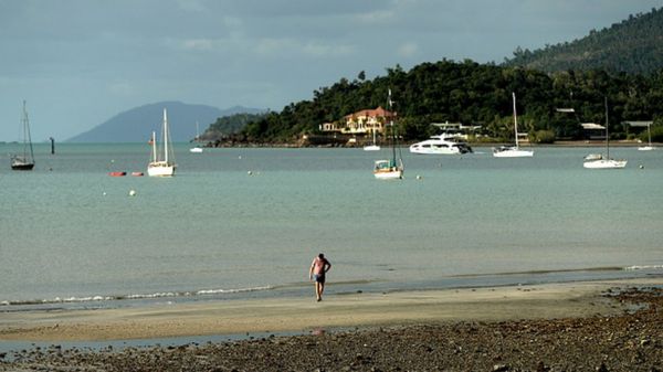 Коронавирус: ученые считают, что смертность в мире занижена вдвое; Covid-19 вынюхивают пчелы