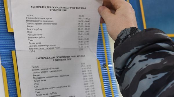 "Не ГУЛАГ". Могут ли осужденные заменить мигрантов?