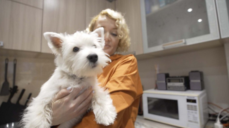 Активистку "Открытой России" Шевченко приговорили к условному сроку по делу о "нежелательной организации"