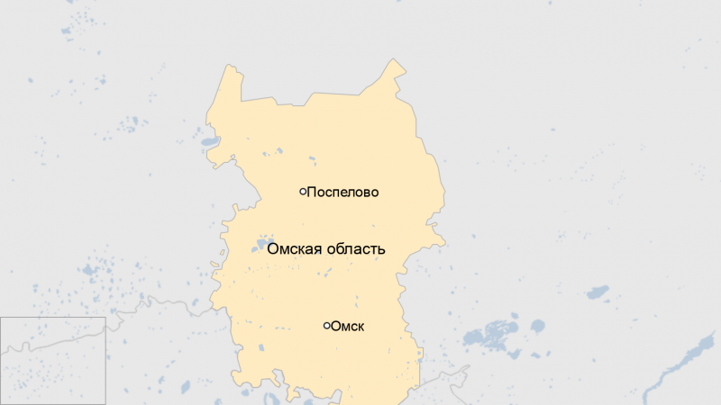 Бывшего главврача больницы, где лечили Навального, нашли живым