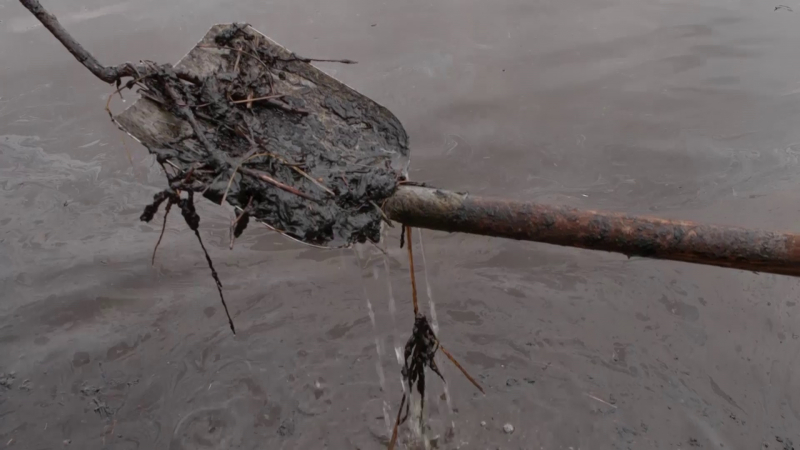 "Чем мы сейчас будем питаться &ndash; нефтью этой?" Как в Коми переживают экологическое бедствие и почему борьба с ним растянется на годы