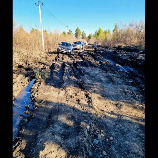 "Дороги нет. Властям насрать!" Плакат о непроезжей дороге в Приангарье прославился на всю Россию