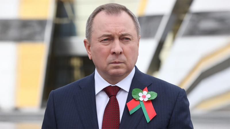 Глава МИД Белоруссии: арестованную в Минске Софью Сапегу могут помиловать или передать России