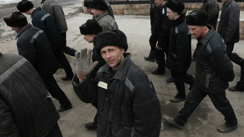 Глава Минюста одобрил идею использовать на стройках заключённых вместо мигрантов