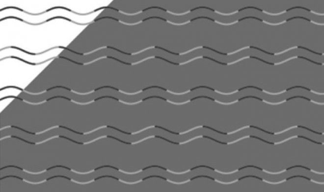 Иллюзия Такахаши доказывает, что почти у всех людей есть &laquo;слепота на кривизну&raquo; 