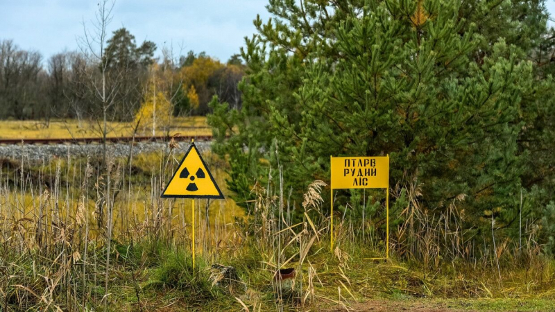 Новые ядерные реакции зафиксировали на Чернобыльской АЭС