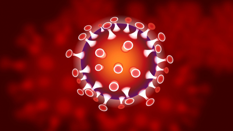 Переболевшие коронавирусом могут рассчитывать на пожизненный иммунитет