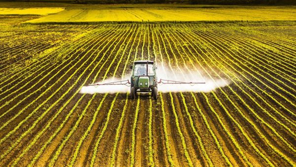 Популярный убийца сорняков повышает риск заражения малярией