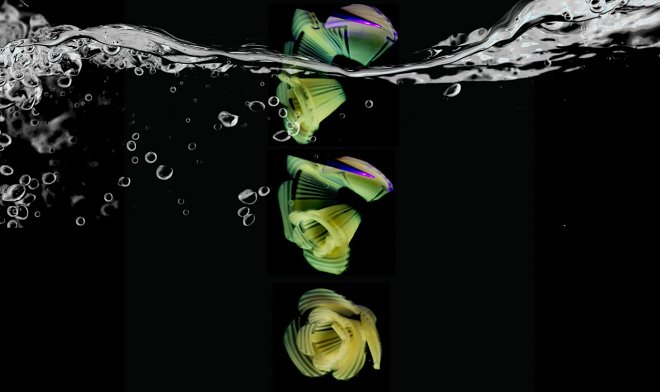 Практичные макароны-трансформеры легко меняют форму с плоской на обычную