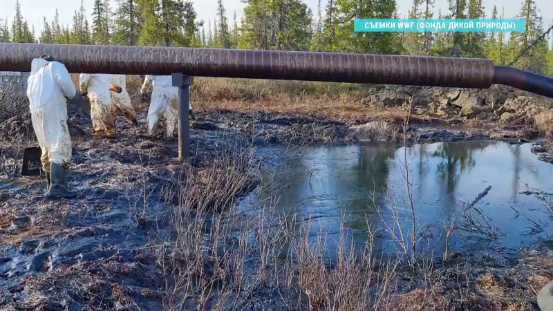 Пугала рабочих и река без рыбы. Как в Мутном Материке справляются с разливом нефти