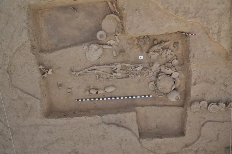 Редкая древняя ДНК дает представление о цивилизации Южной Азии возрастом 5 000 лет