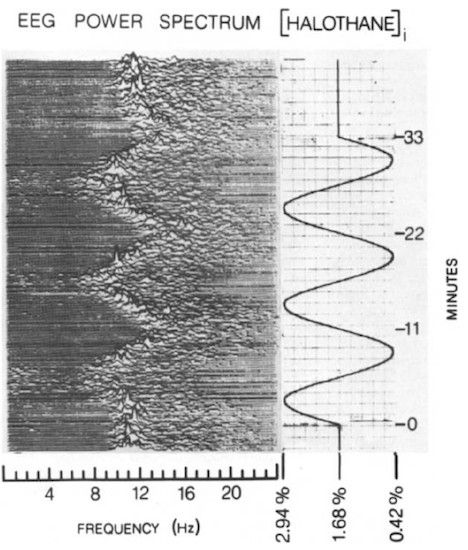 Резонанс Шумана:&nbsp;Секреты синхронизации электромагнитных полей Земли и живого организма.