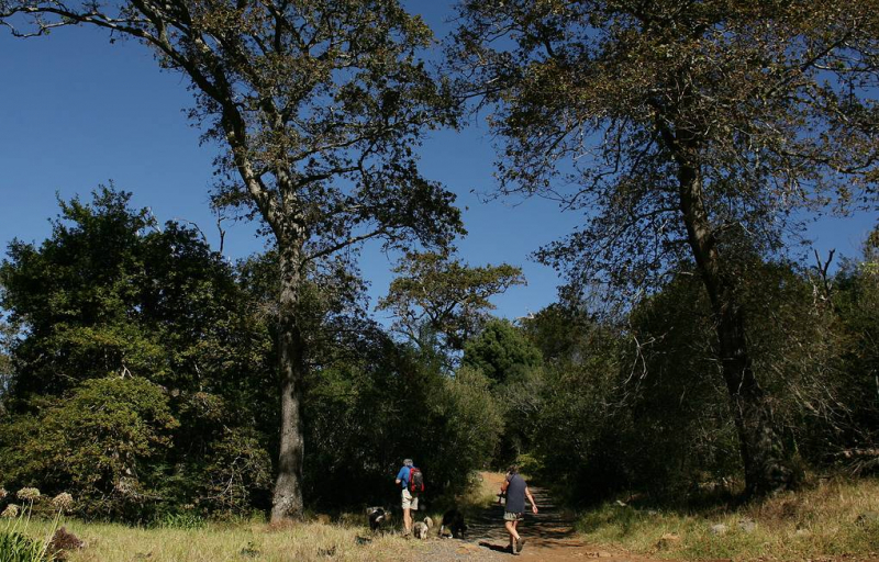 Темпы изменения флоры Земли вышли на рекордно высокий уровень