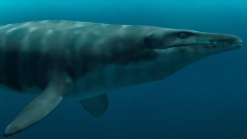 Ученые описали найденный недавно новый вид мозазавров