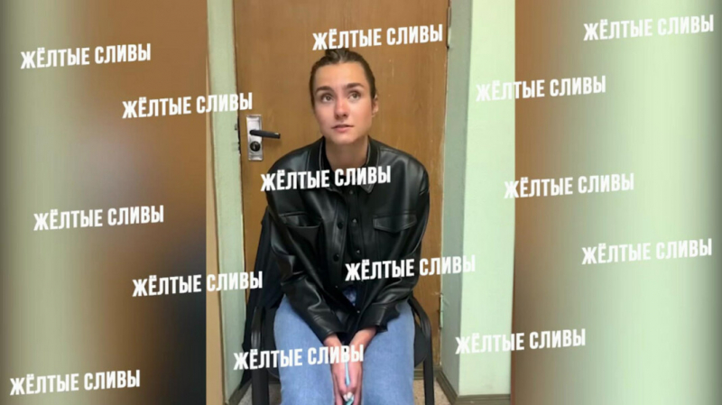 В Белоруссии показали видео допроса задержанной вместе с сооснователем Nexta россиянки