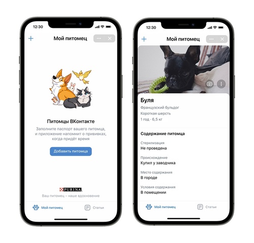 &laquo;ВКонтакте&raquo; запустила сервис &laquo;Питомцы&raquo; с возможностью следить за графиком прививок животных 