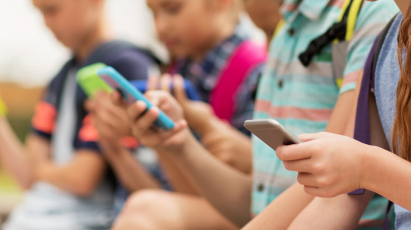 Власти Подмосковья начали проверять школьников на &laquo;асоциальное поведение&raquo; в соцсетях после стрельбы в Казани