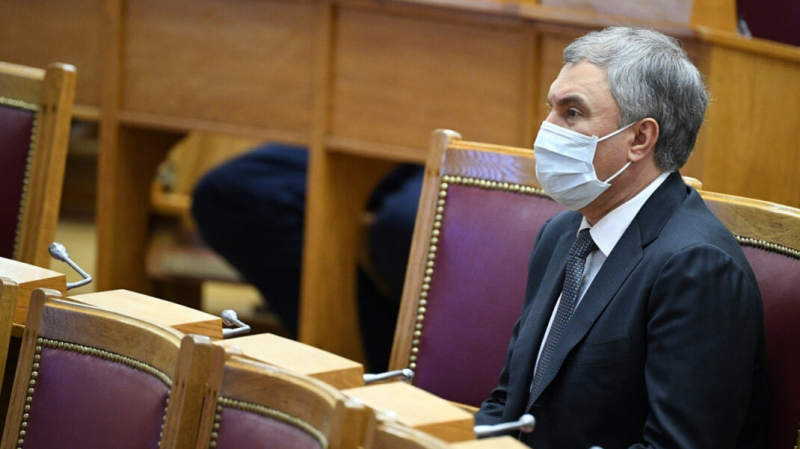 Володин: иностранные депутаты приезжают в Россию за прививками &laquo;Спутником V&raquo;