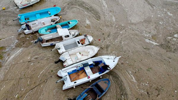 Турция: морская слизь покрыла берега Мраморного моря и угрожает Черному