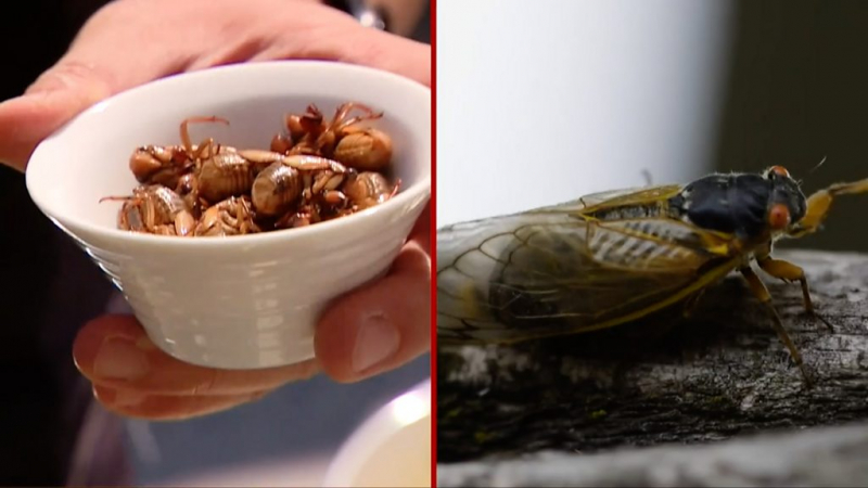 Дайджест: дело против бывшего директора "Открытой России" и шпионский скандал в Европе