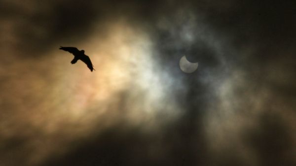 Фото: солнечное затмение в Шотландии. "Огненного кольца" там не было, но все равно красиво