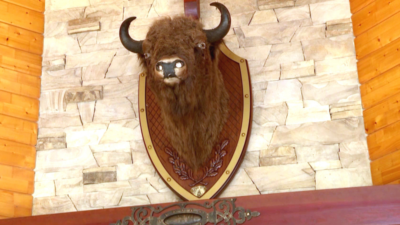 Чучела животных, люстры из рогов и подарок Лукашенко. Экскурсия по бывшей резиденции Януковича под Киевом, где планируют открыть отель