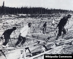 "Даже надзиратели не вернулись из лагерей: либо погибли, либо были репрессированы". Кому был выгоден ГУЛАГ
