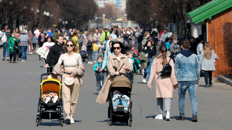 Депутат предложил отменить материнский капитал для богатых. В Совфеде и &laquo;Единой России&raquo; его не поддержали