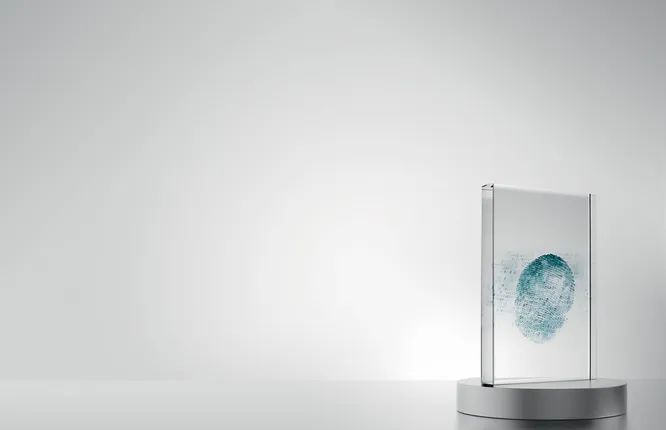 Хиромантия XXI века: можно ли научно изучать личность по линиям на ладонях