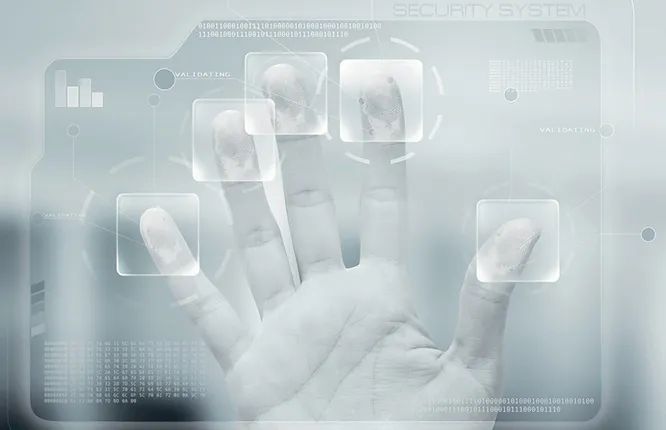 Хиромантия XXI века: можно ли научно изучать личность по линиям на ладонях