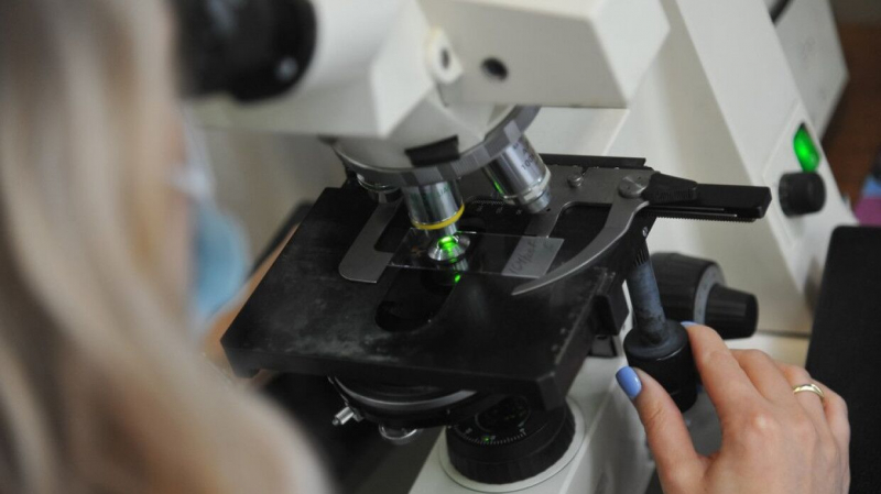 Испанские ученые приблизились к разгадке тайны одомашнивания животных