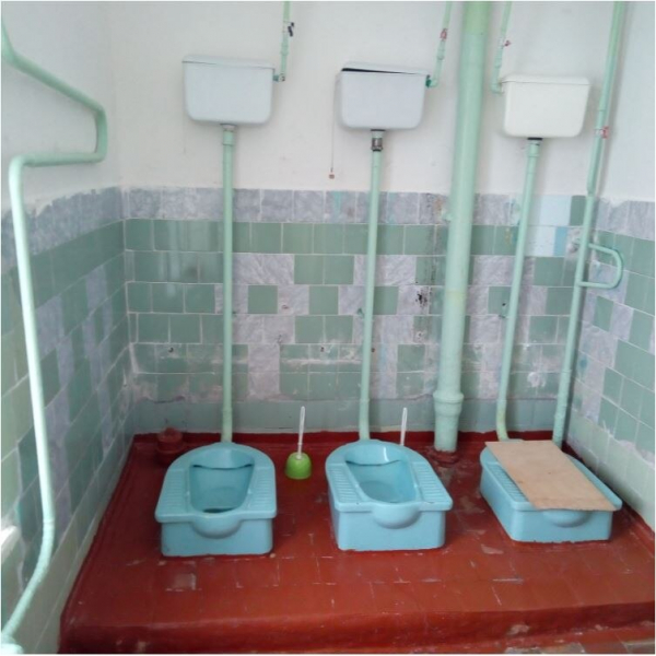 "Юнармия, экзамены, олимпиады &ndash; это контролируют. А туалеты &ndash; такого показателя нет". В России выбрали худший школьный санузел