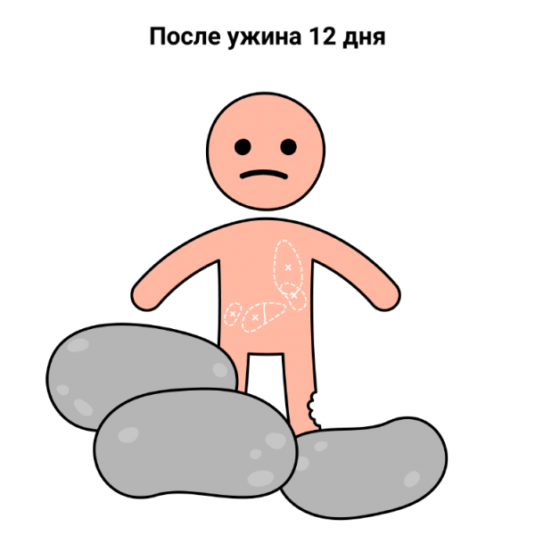 Как долго можно продержаться, поедая себя