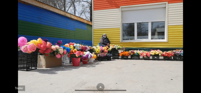 Китайцы в России: экспансия или обычная трудовая миграция. Премьера документального фильма "Поднебесная Сибирь"