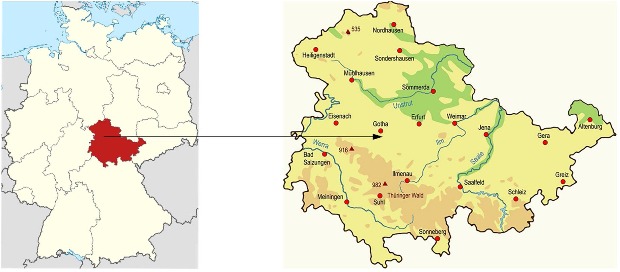 Палеопатологи обнаружили самый тяжелый случай деформации Маделунга на древних останках