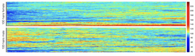 Поседевшим из-за стресса волосам можно вернуть прежний цвет