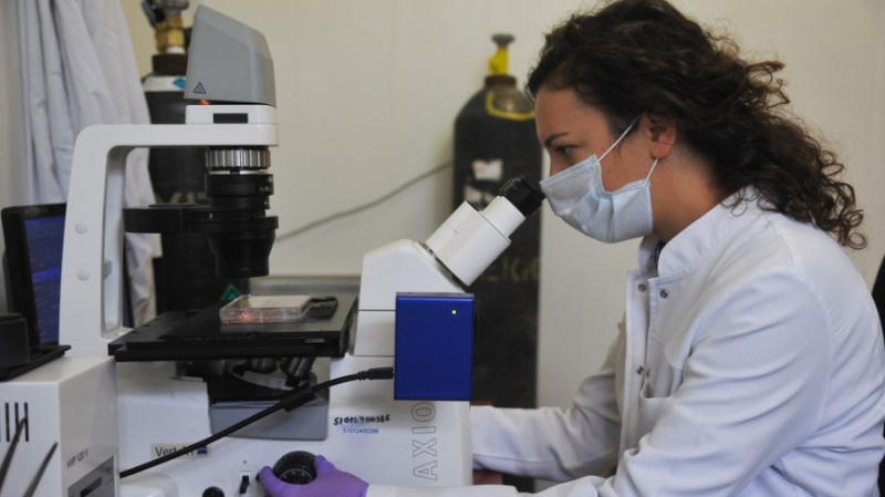 Ученые разгадали тайну появления вирусов на планете