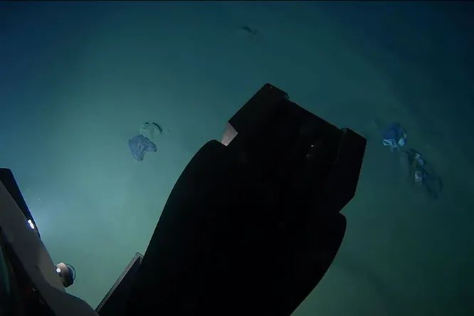 Ученый нашел плюшевого мишку на 10-километровой глубине