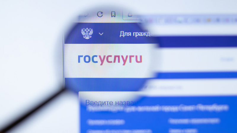 Журналистка рассказала о взломе её страницы на &laquo;Госуслугах&raquo; с аккаунта &laquo;Единой России&raquo;