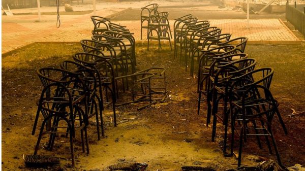 Фото: в Турции бушуют лесные пожары, часть туристов эвакуировали