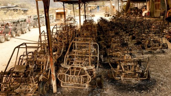 Фото: в Турции бушуют лесные пожары, часть туристов эвакуировали