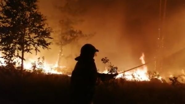 "Огненный шторм". В Челябинской области огонь от лесных пожаров перекинулся на села