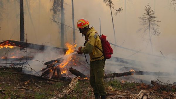 Сезон лесных пожаров в России: огонь подбирается к поселкам, горит парк "Ленские столбы"