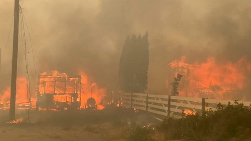 "У людей было 15 минут на сборы". В Канаде из-за небывалой жары сгорел поселок