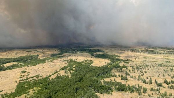 "Огненный шторм". В Челябинской области огонь от лесных пожаров перекинулся на села
